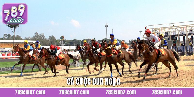 Đua Ngựa - Lựa Chọn Cá Cược Đỉnh Cao Tại Nhà Cái 789CLUB