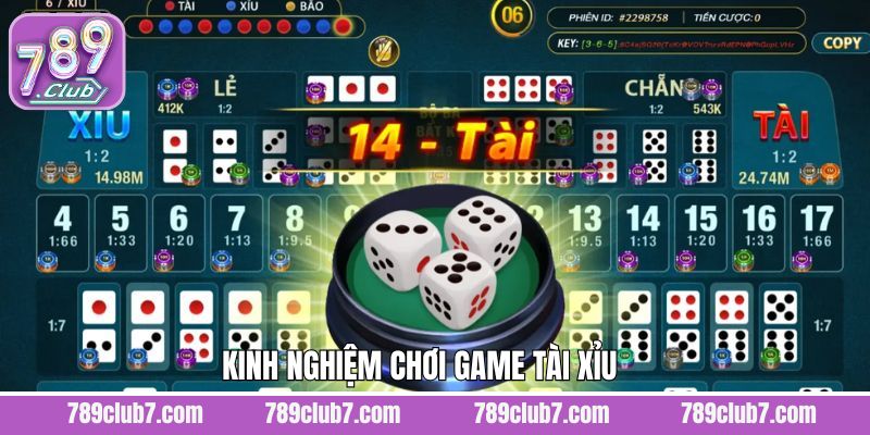 Chia sẻ kinh nghiệm đặt tài xỉu thắng lớn dễ dàng