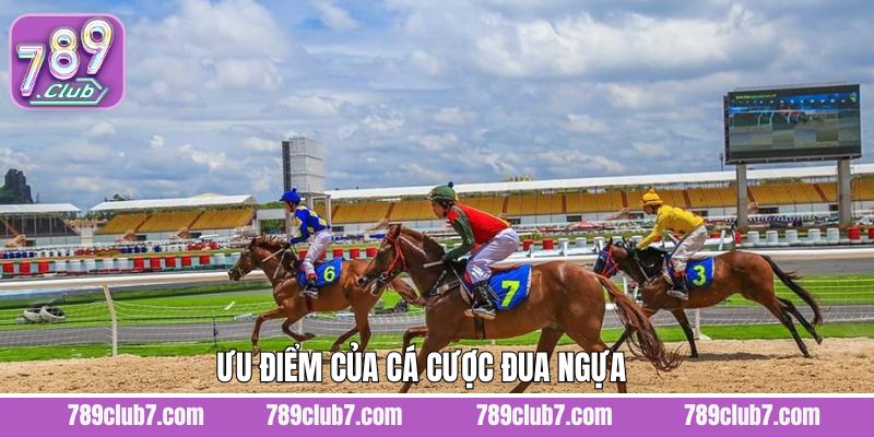 Nhiều đấu trường đua ngựa quốc tế đa dạng