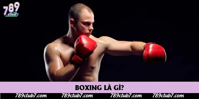 Boxing là gì? Boxing là gì?