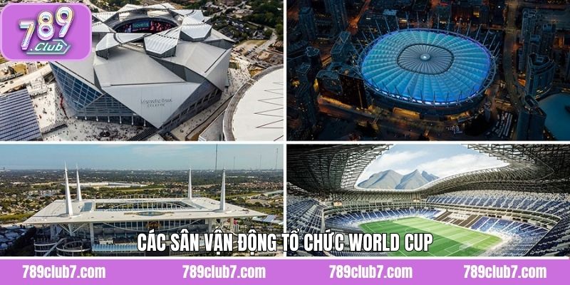 Các Sân Vận Động Tổ Chức World Cup Được FIFA Lựa Chọn