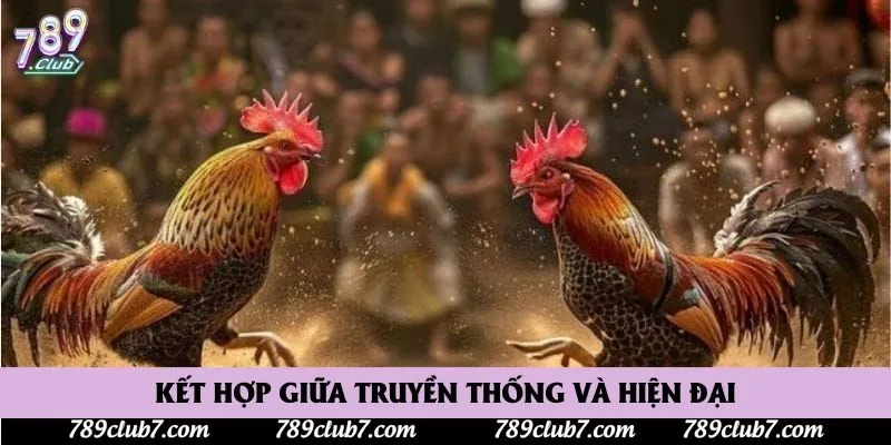 Kết hợp giữa truyền thống và hiện đại
