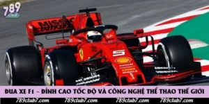 Đua Xe F1 – Đỉnh Cao Tốc Độ Và Công Nghệ Thể Thao Thế Giới