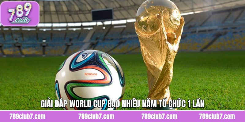Giải đáp chu kỳ tổ chức mùa giải World Cup