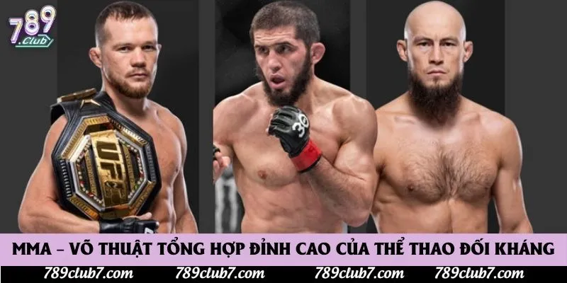 MMA – Võ Thuật Tổng Hợp Đỉnh Cao Của Thể Thao Đối Kháng