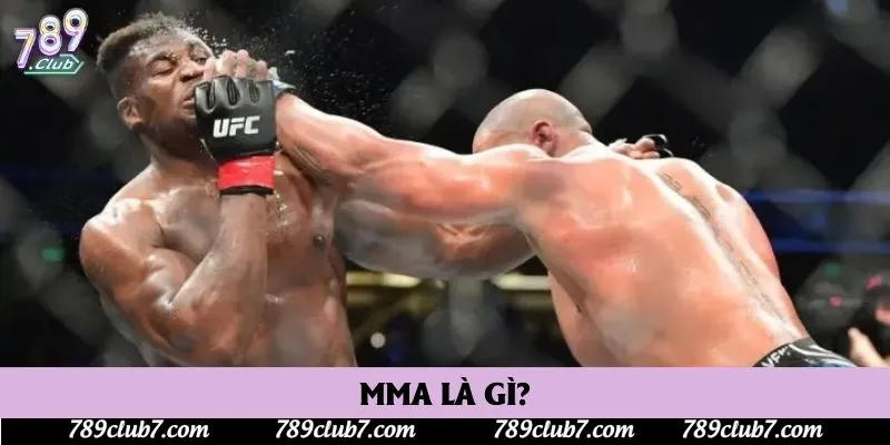 MMA là gì? MMA là gì?