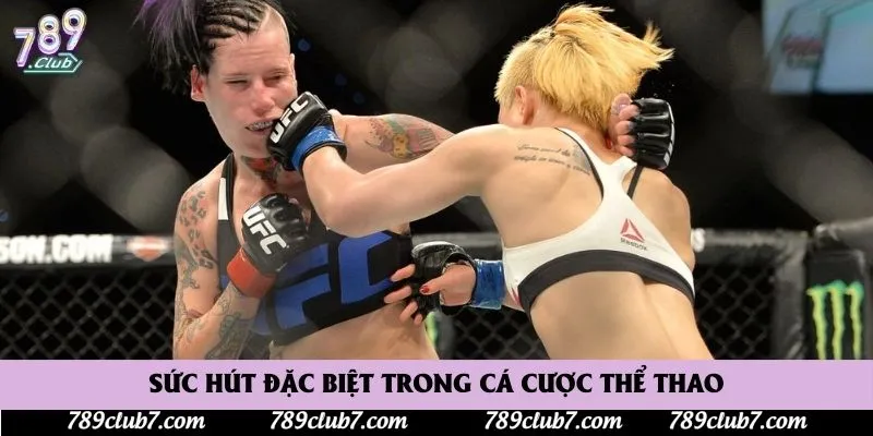 Sức hút đặc biệt trong cá cược thể thao Sức hút đặc biệt trong cá cược thể thao