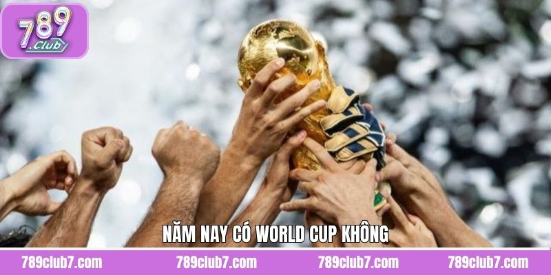 Năm Nay Có World Cup Không Và Những Sự Thay Đổi Của Mùa Giải